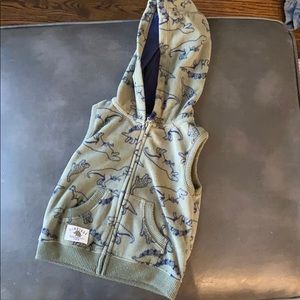 Dinosaur Vest